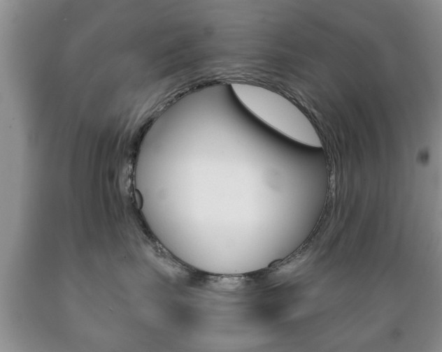 X0000089720671200706210855