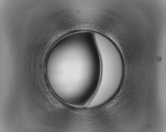 X0000089720673200706210854