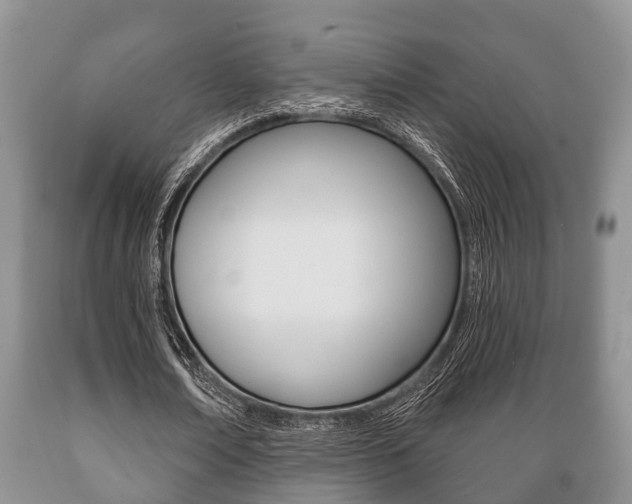X0000089720674200706210854