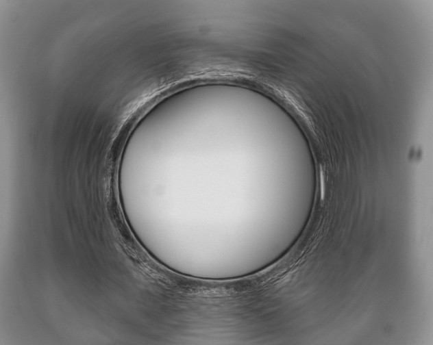 X0000089720675200706210854