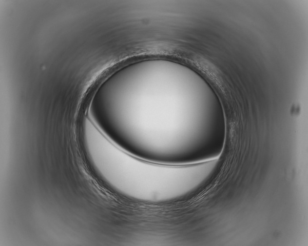 X0000089720676200706210854