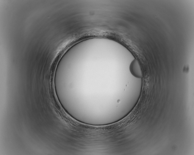 X0000089720679200706210854