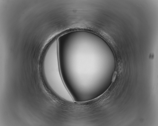 X0000089720680200706210854