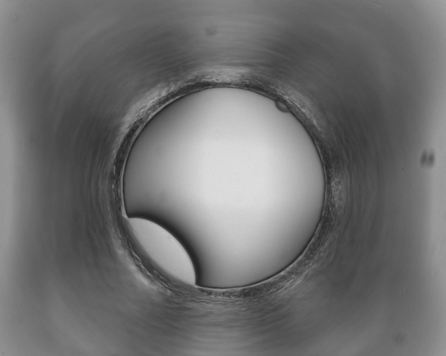 X0000089720682200706210854