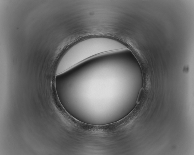 X0000089720685200706210854