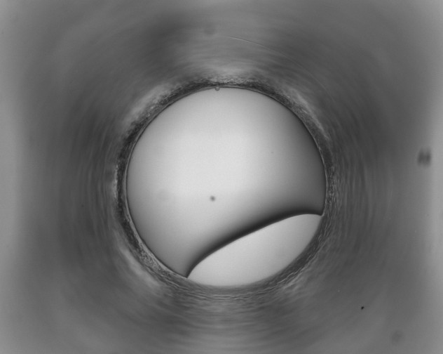 X0000089720686200706210854