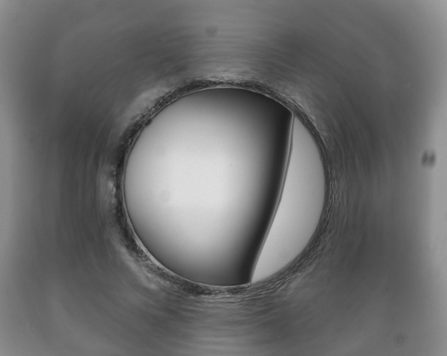 X0000089720688200706210854