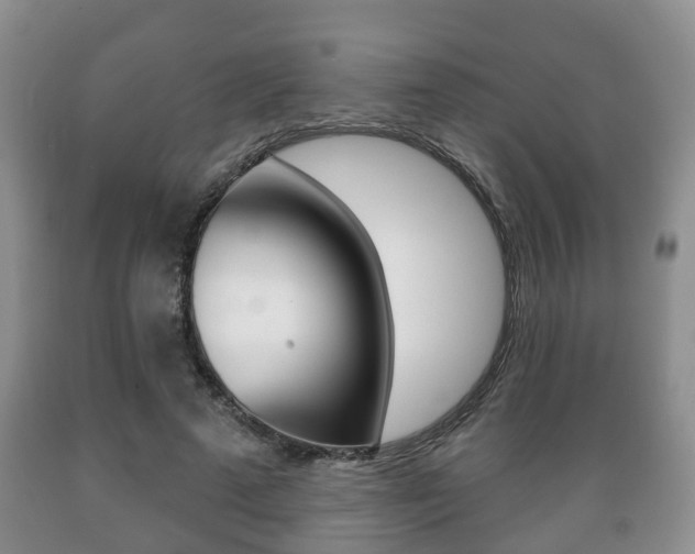 X0000089720689200706210854