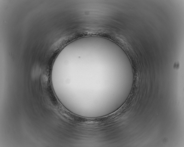 X0000089720691200706210854