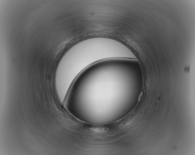 X0000089720693200706210854
