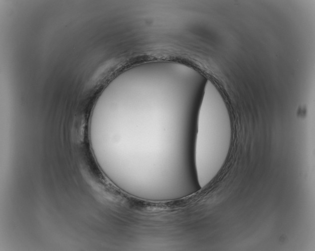 X0000089720694200706210854