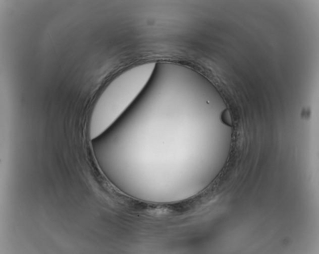 X0000089720695200706210854