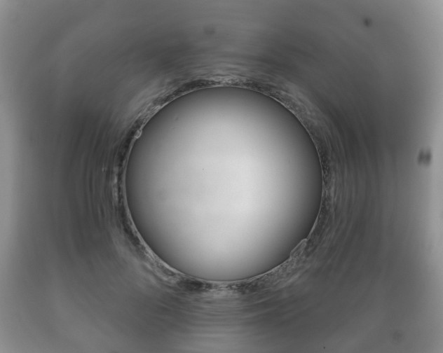 X0000089720696200706210854