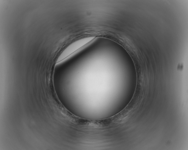 X0000089720697200706210854