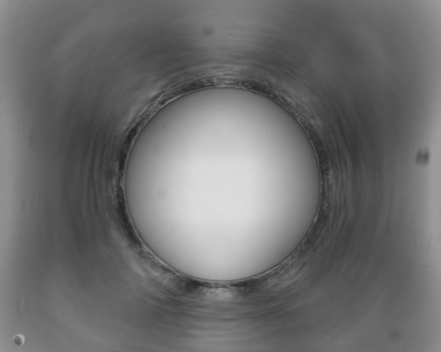 X0000089720698200706210854