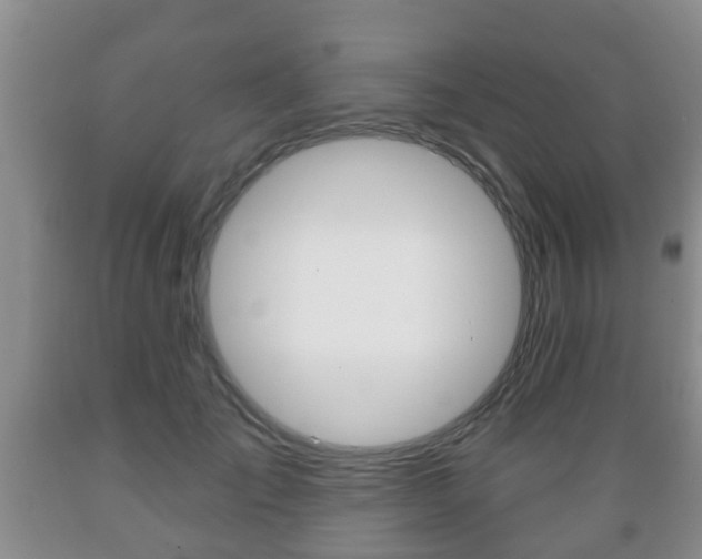 X0000089720701200706210854