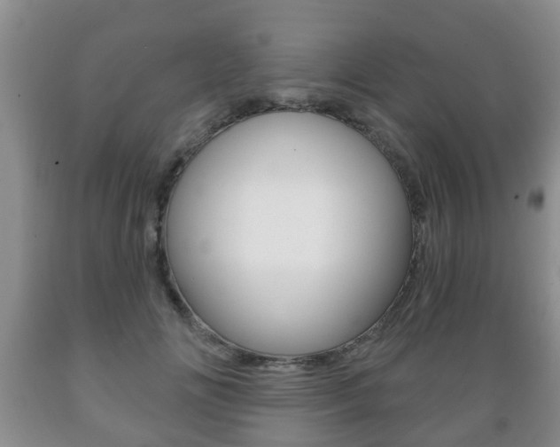 X0000089720702200706210854