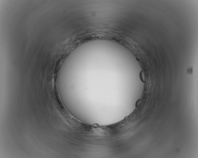 X0000089720703200706210854
