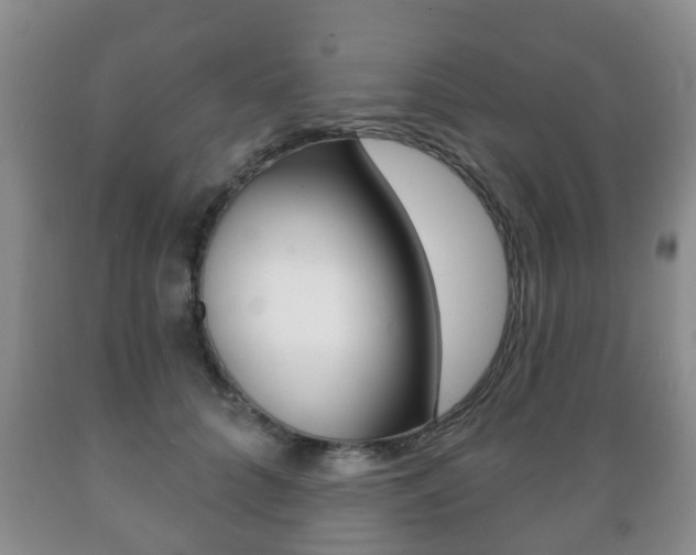 X0000089720704200706210854
