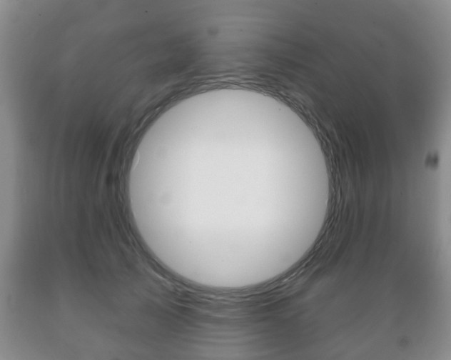 X0000089720705200706210854
