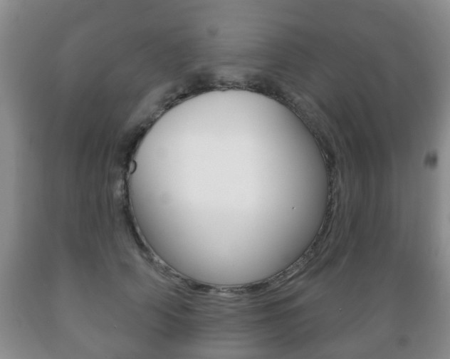 X0000089720706200706210854