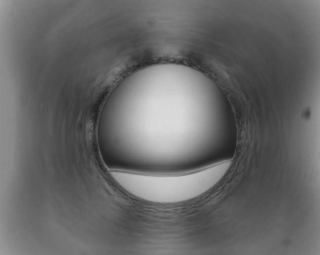 X0000089720708200706210854