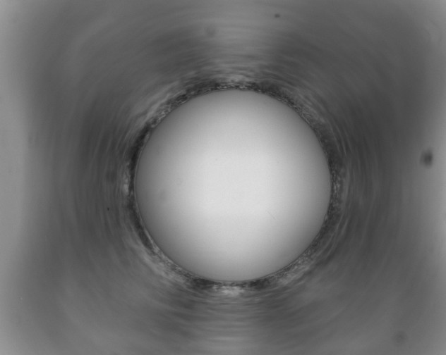 X0000089720710200706210854