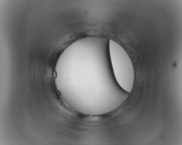 X0000089720711200706210854
