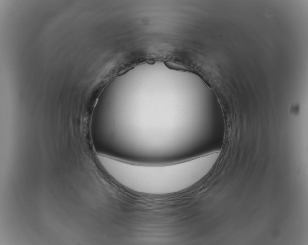 X0000089720712200706210854
