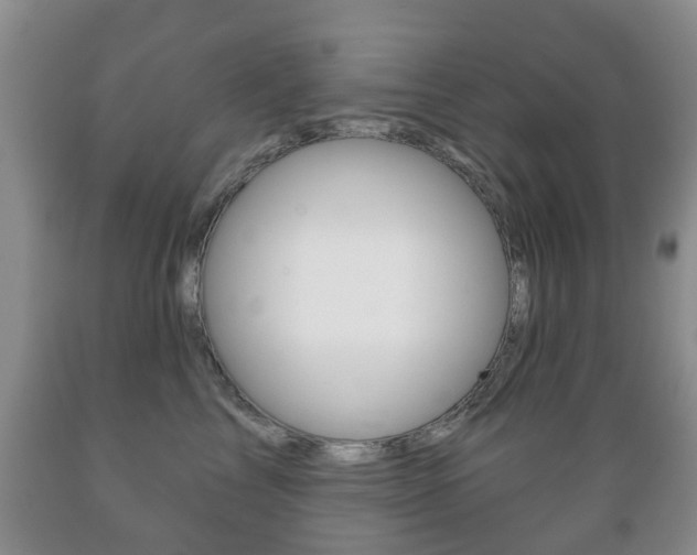 X0000089720713200706210853