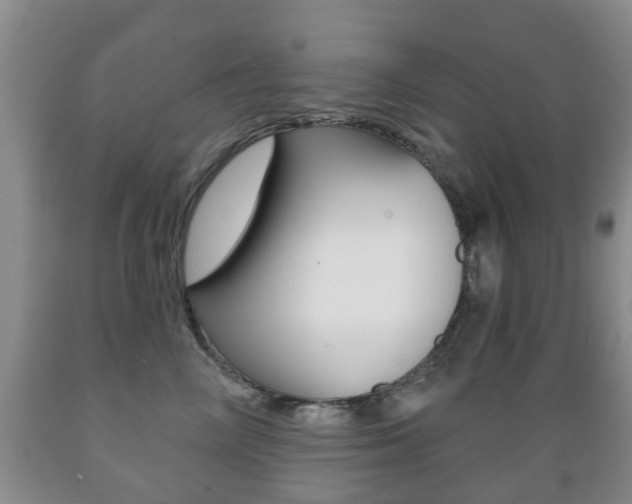 X0000089720714200706210853