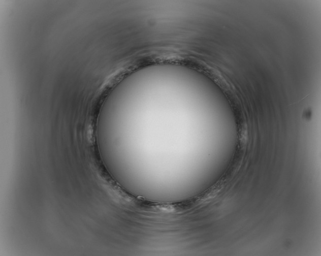 X0000089720715200706210853