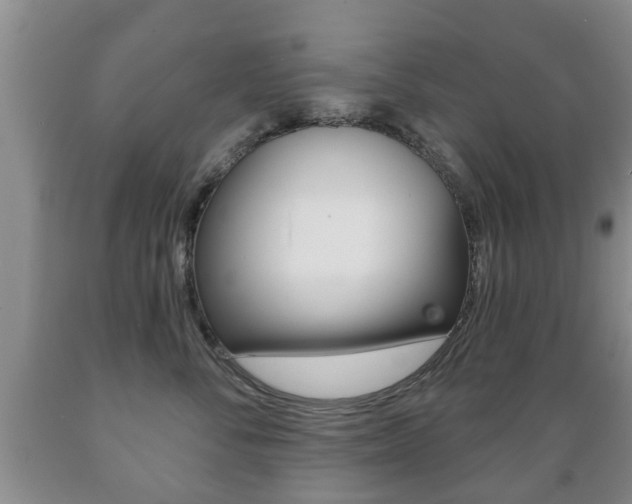 X0000089720716200706210853