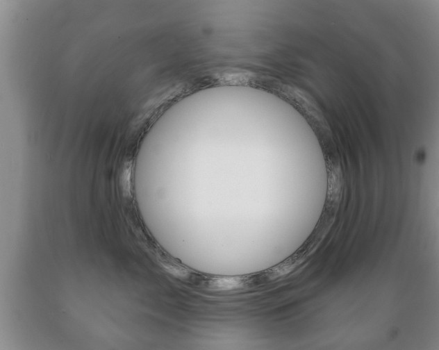X0000089720717200706210853