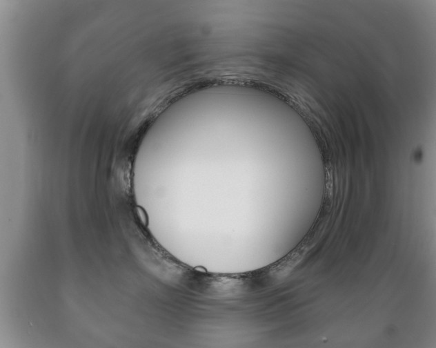 X0000089720718200706210853