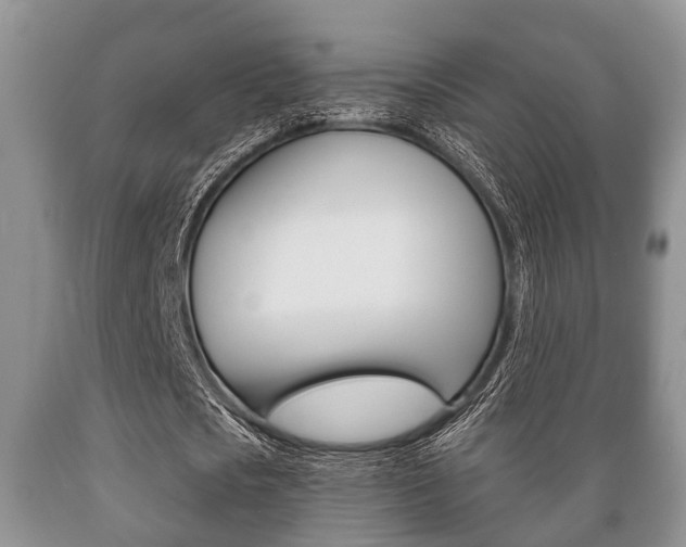 X0000089720721200706210853