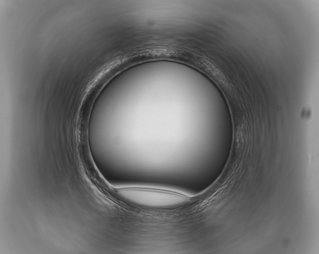 X0000089720722200706210853