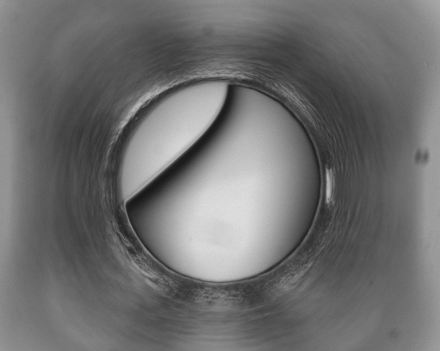X0000089720723200706210853