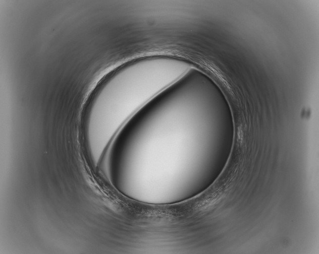 X0000089720724200706210853