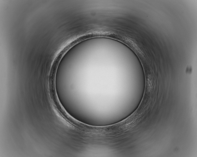 X0000089720726200706210853
