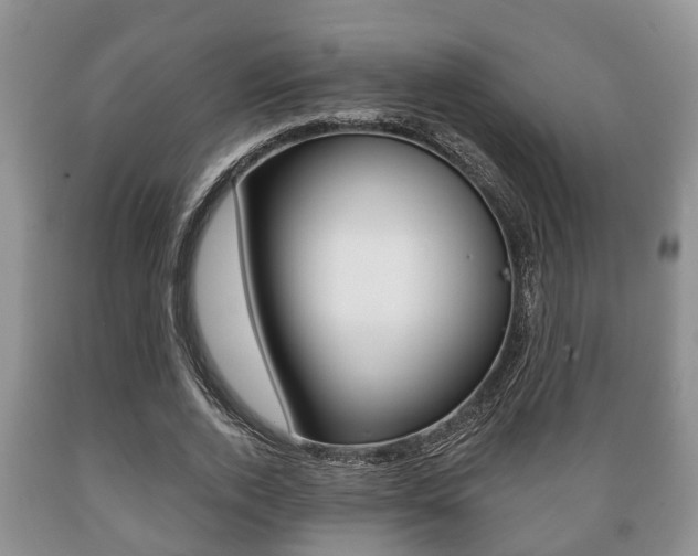 X0000089720728200706210853