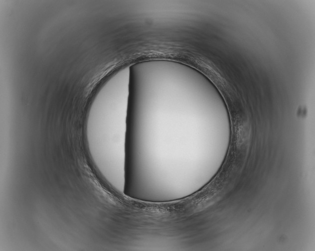X0000089720729200706210853
