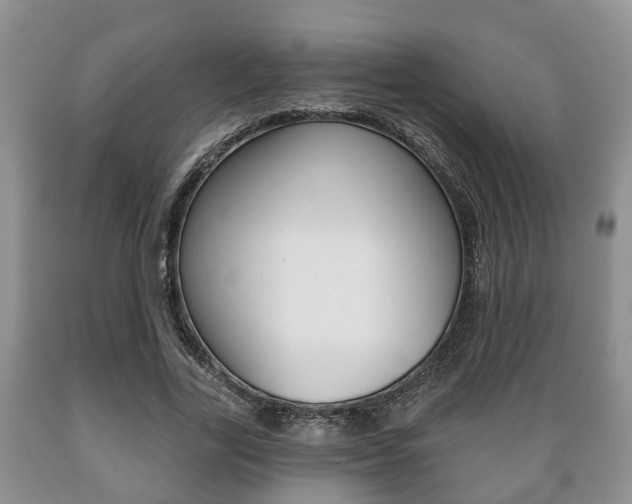 X0000089720731200706210853