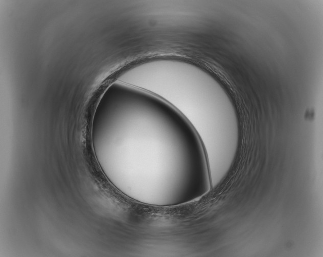 X0000089720732200706210853