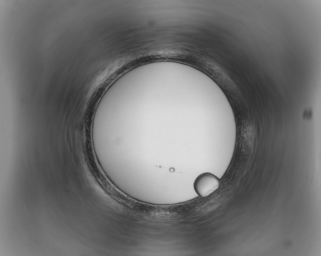 X0000089720734200706210853