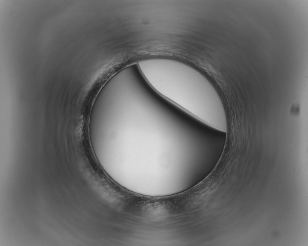 X0000089720735200706210853