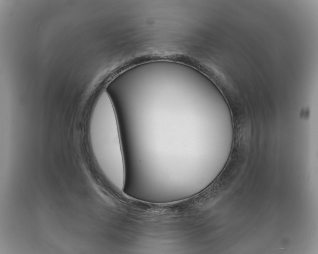X0000089720736200706210853