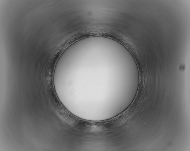 X0000089720737200706210853