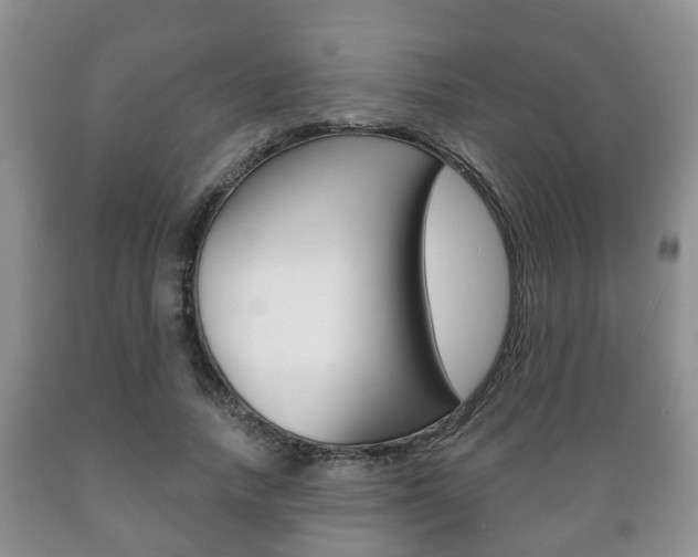 X0000089720738200706210853