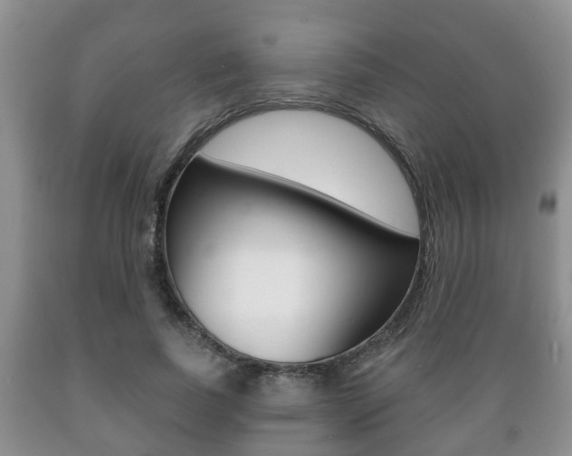 X0000089720739200706210853